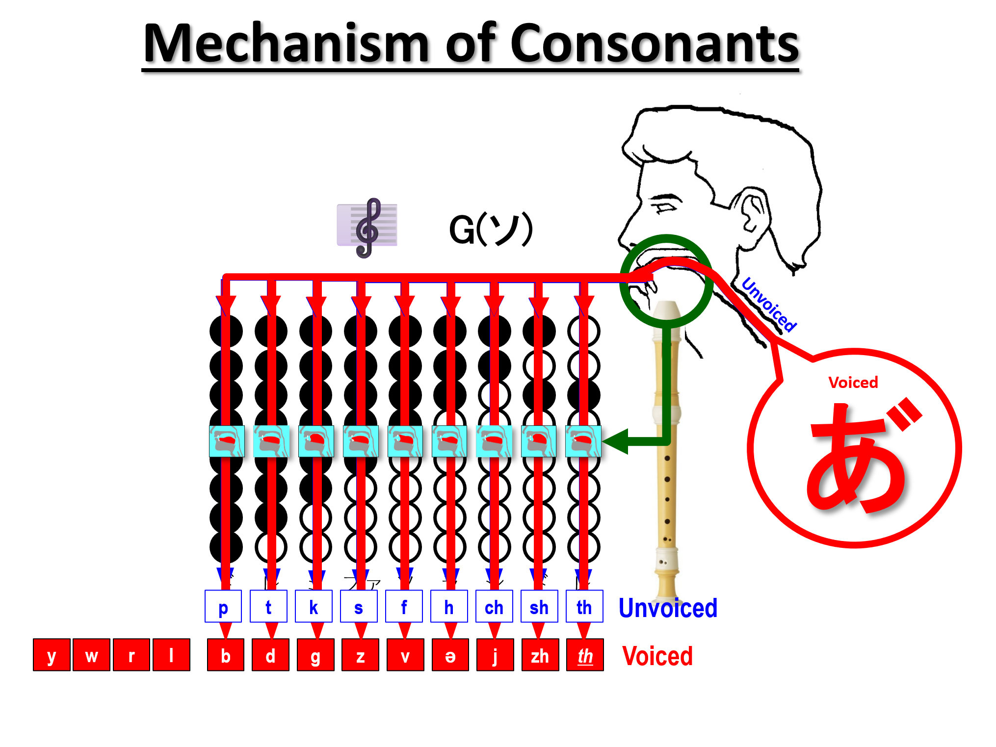 Mechanism of Consonants